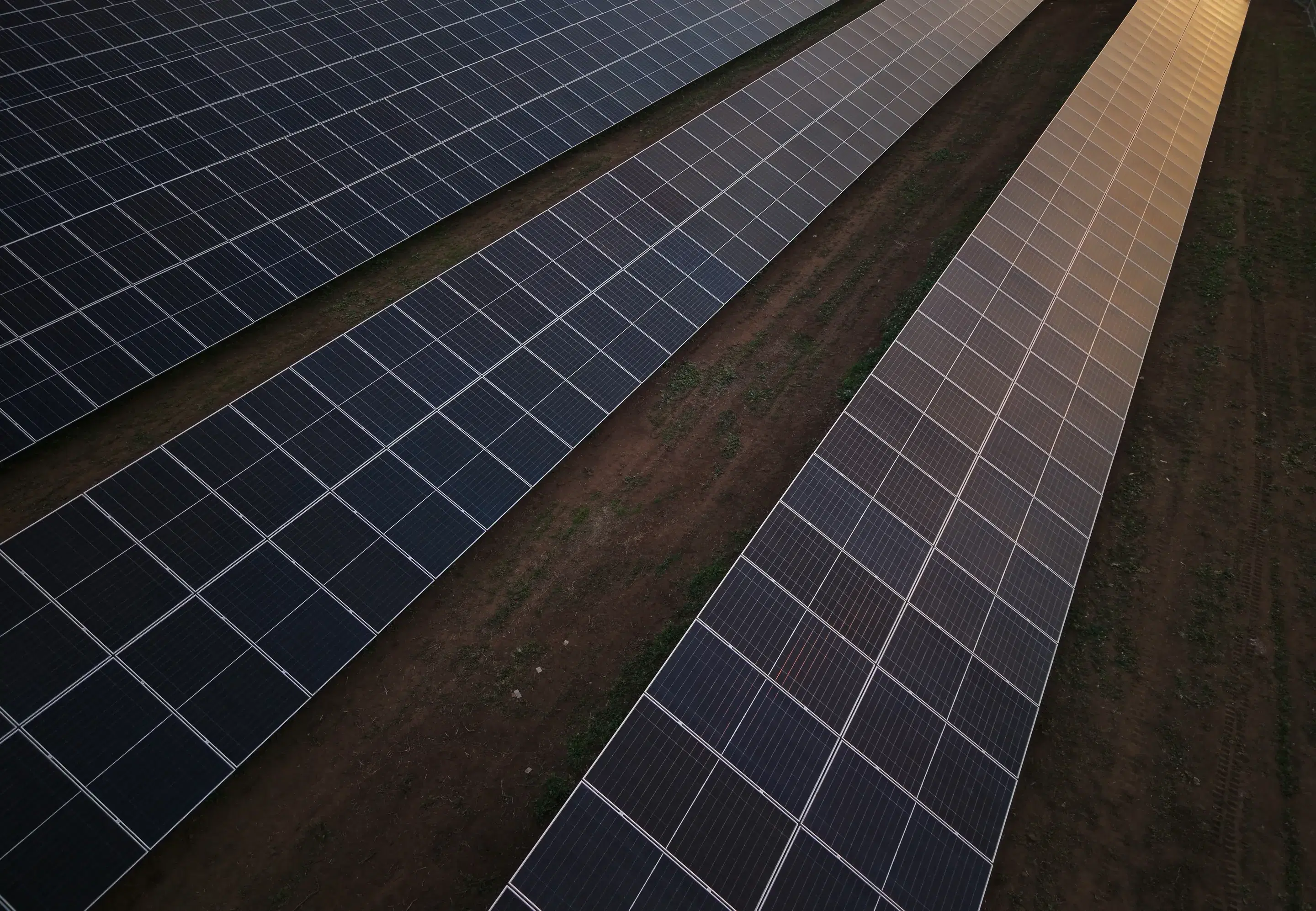 Filas ordenadas de paneles solares de una planta de Rising Sun vistas desde el aire al atardecer
