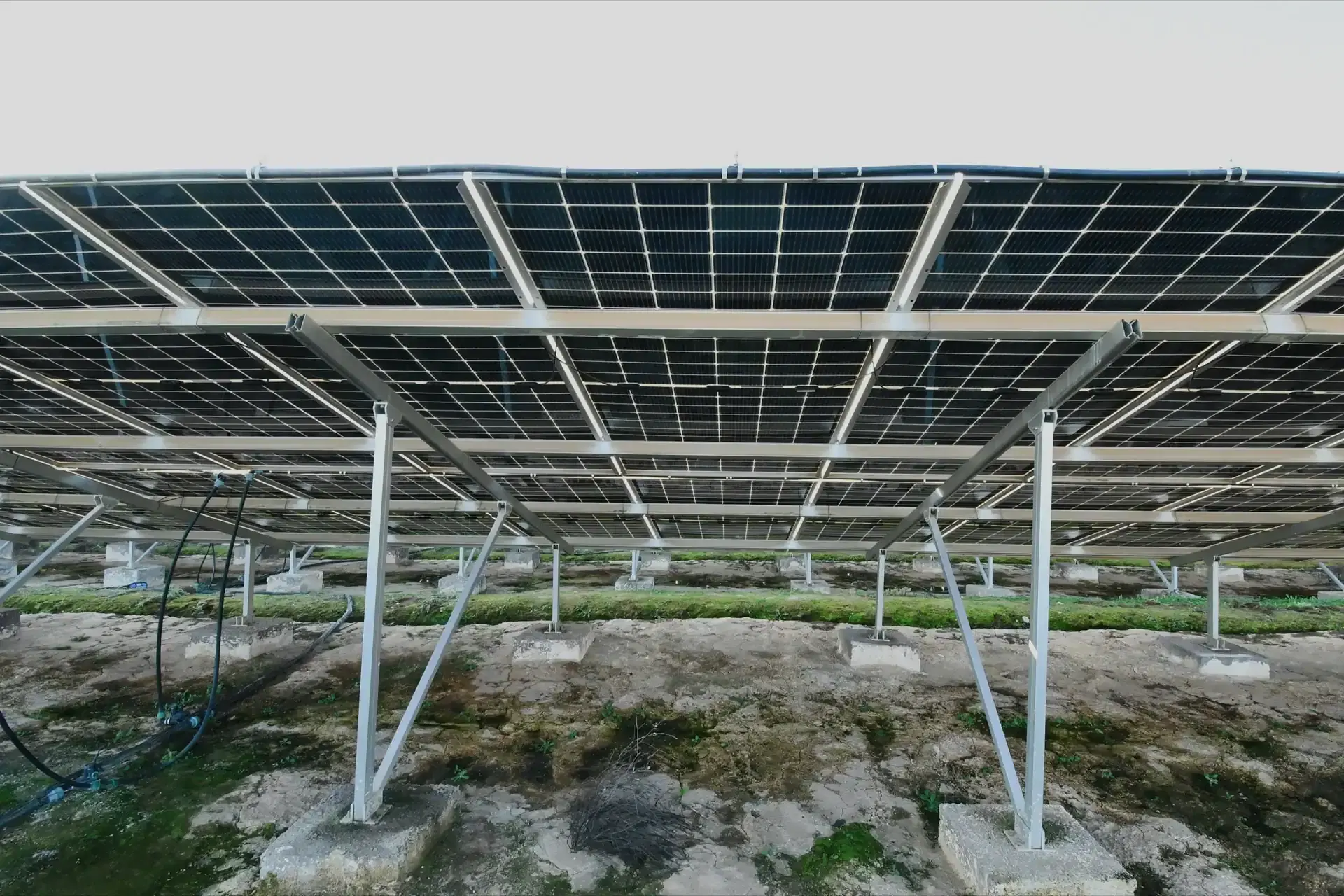 Instalación solar Agrícola Talhuén