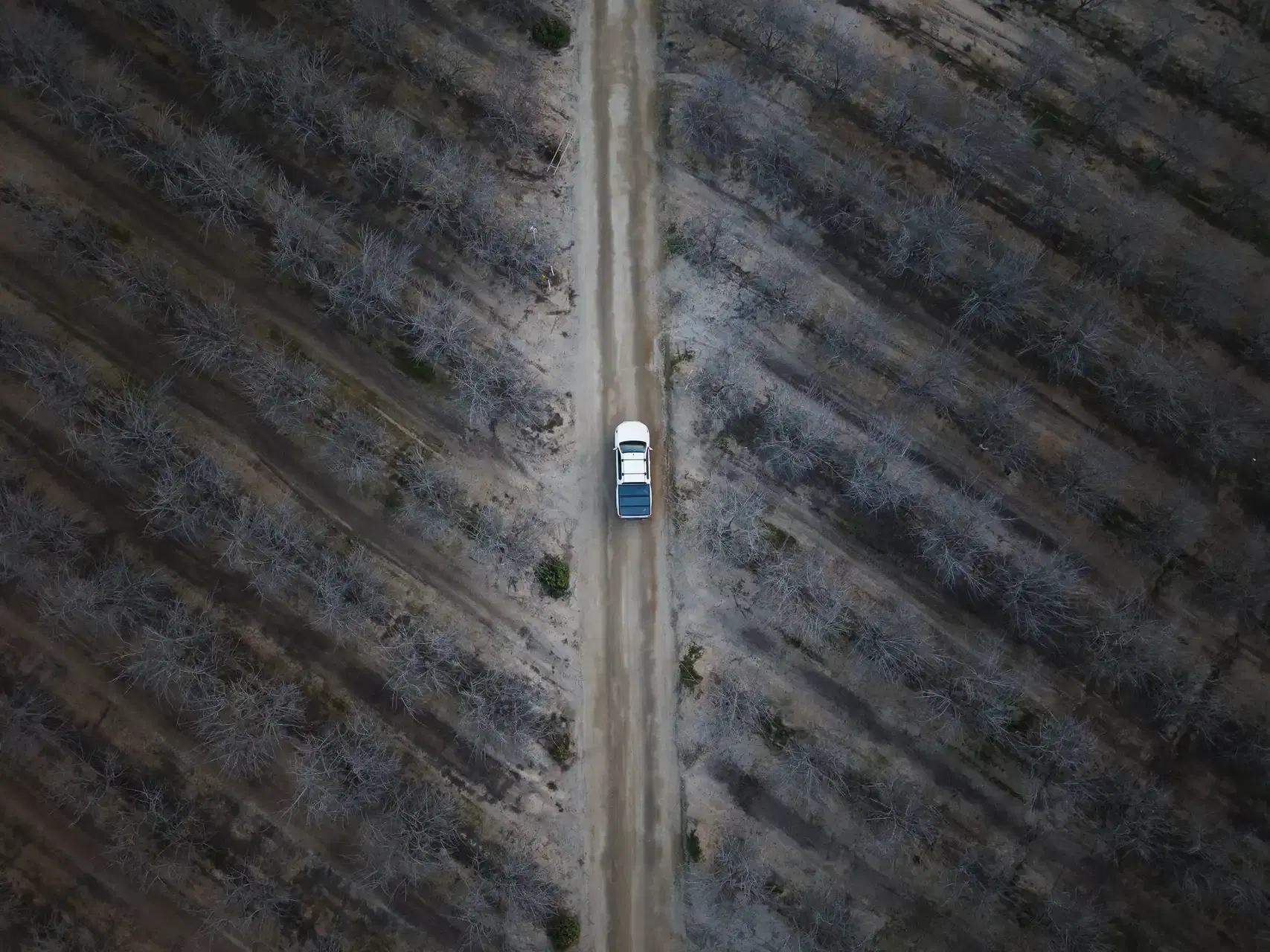 Instalación solar Agrícola Talhuén