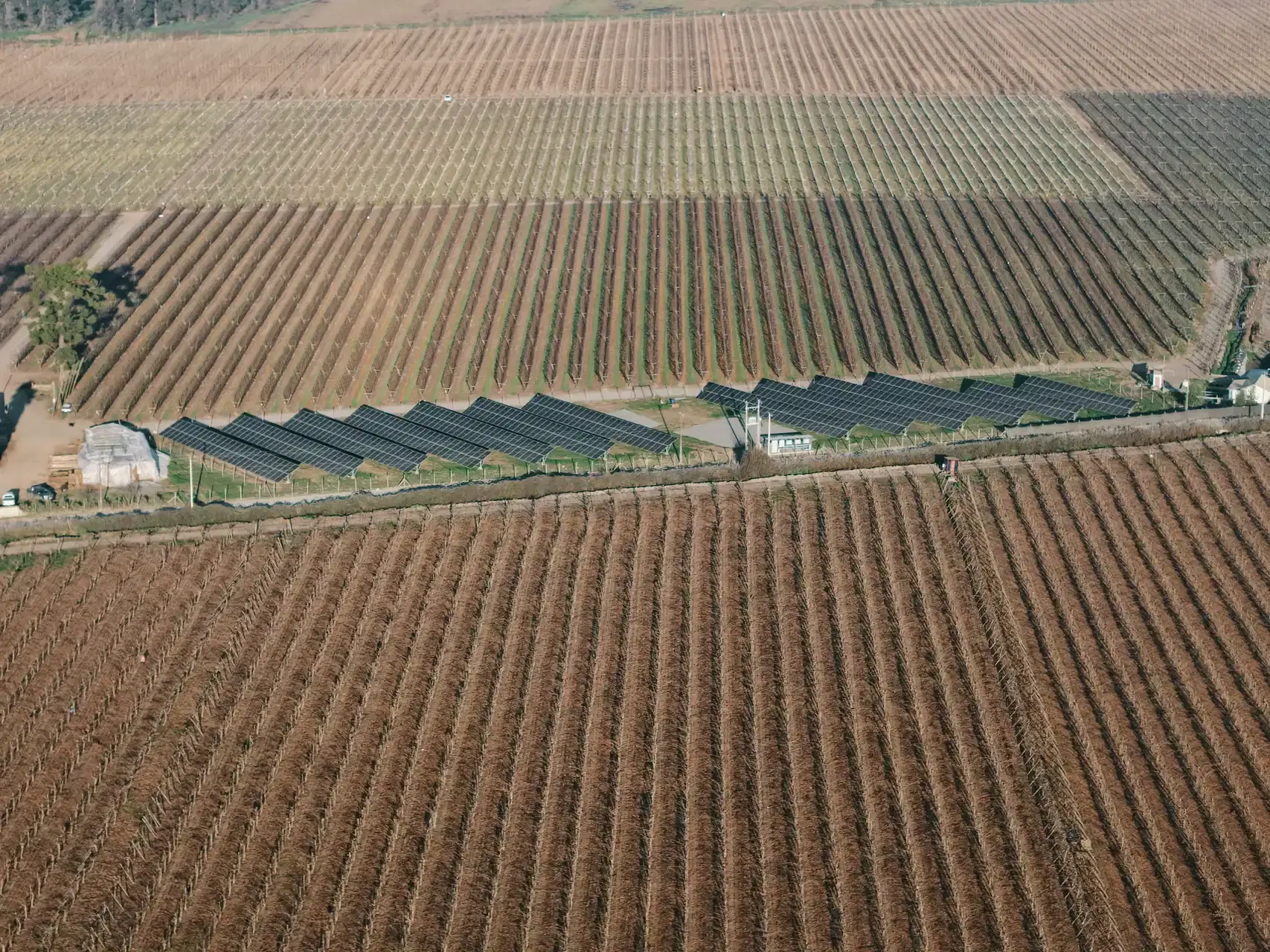 Instalación solar Agrizano