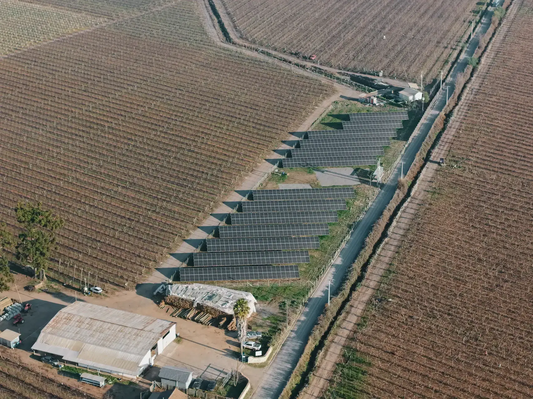 Proyecto de energía solar Agrizano