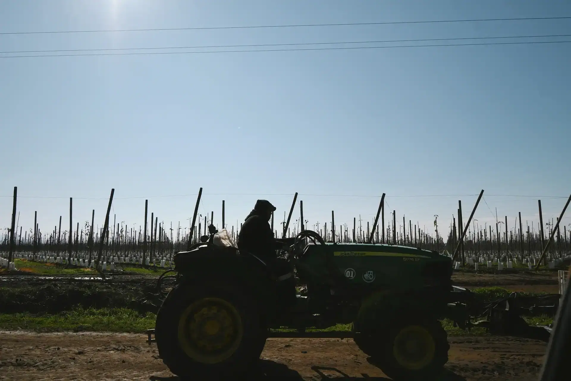 Instalación solar Solfrut