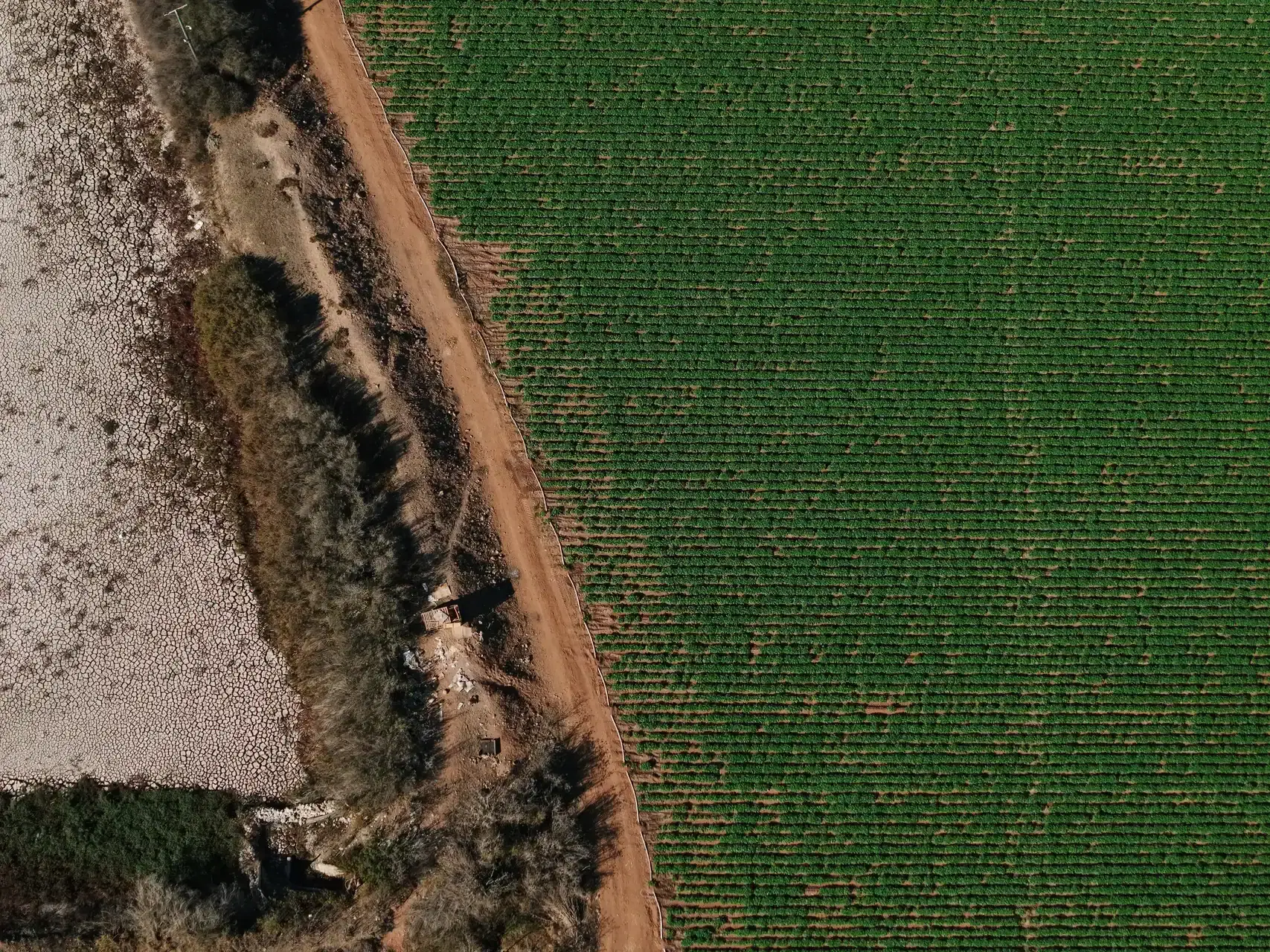 Instalación solar Agrícola Gianni
