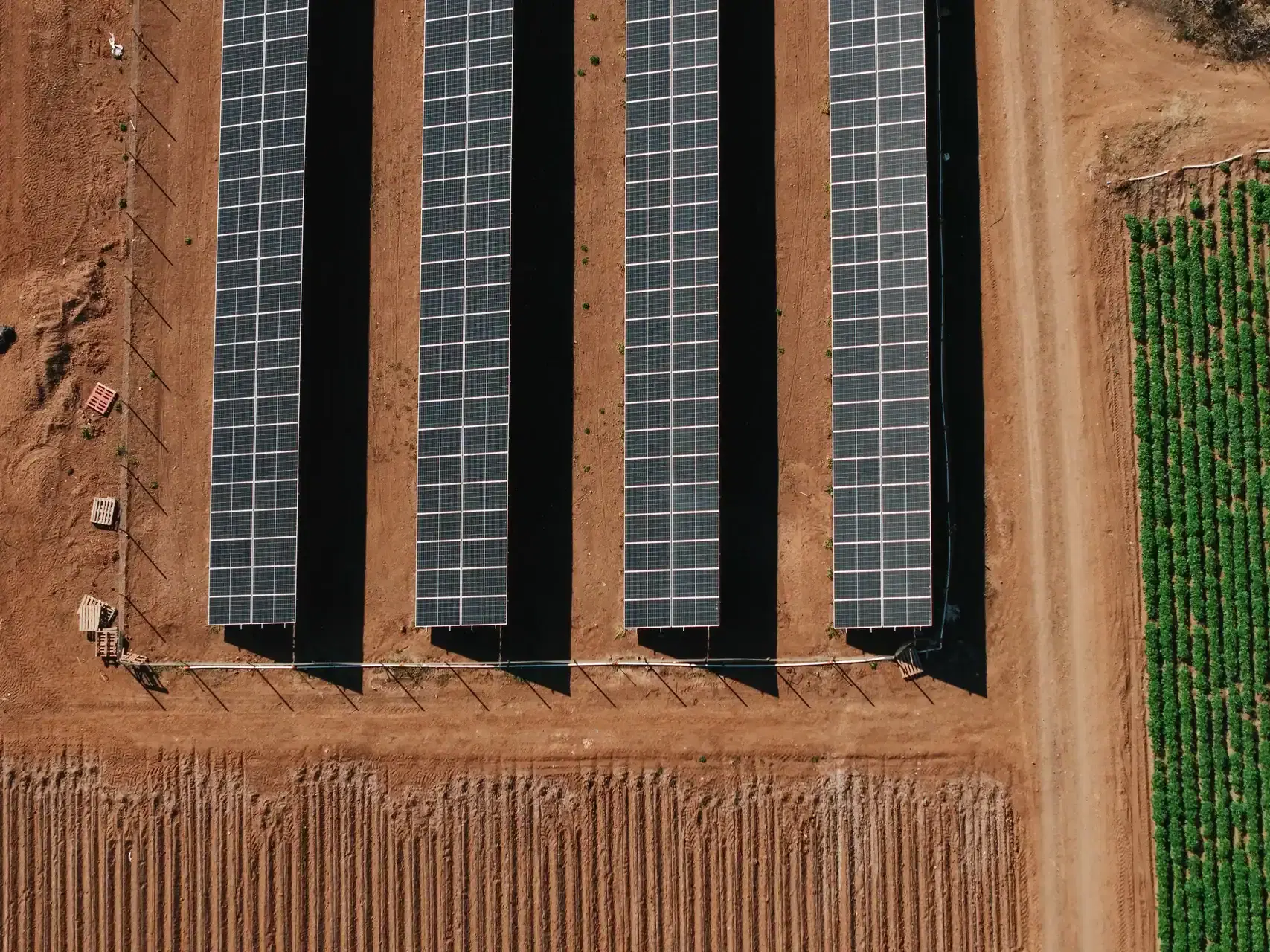 Instalación solar Agrícola Gianni