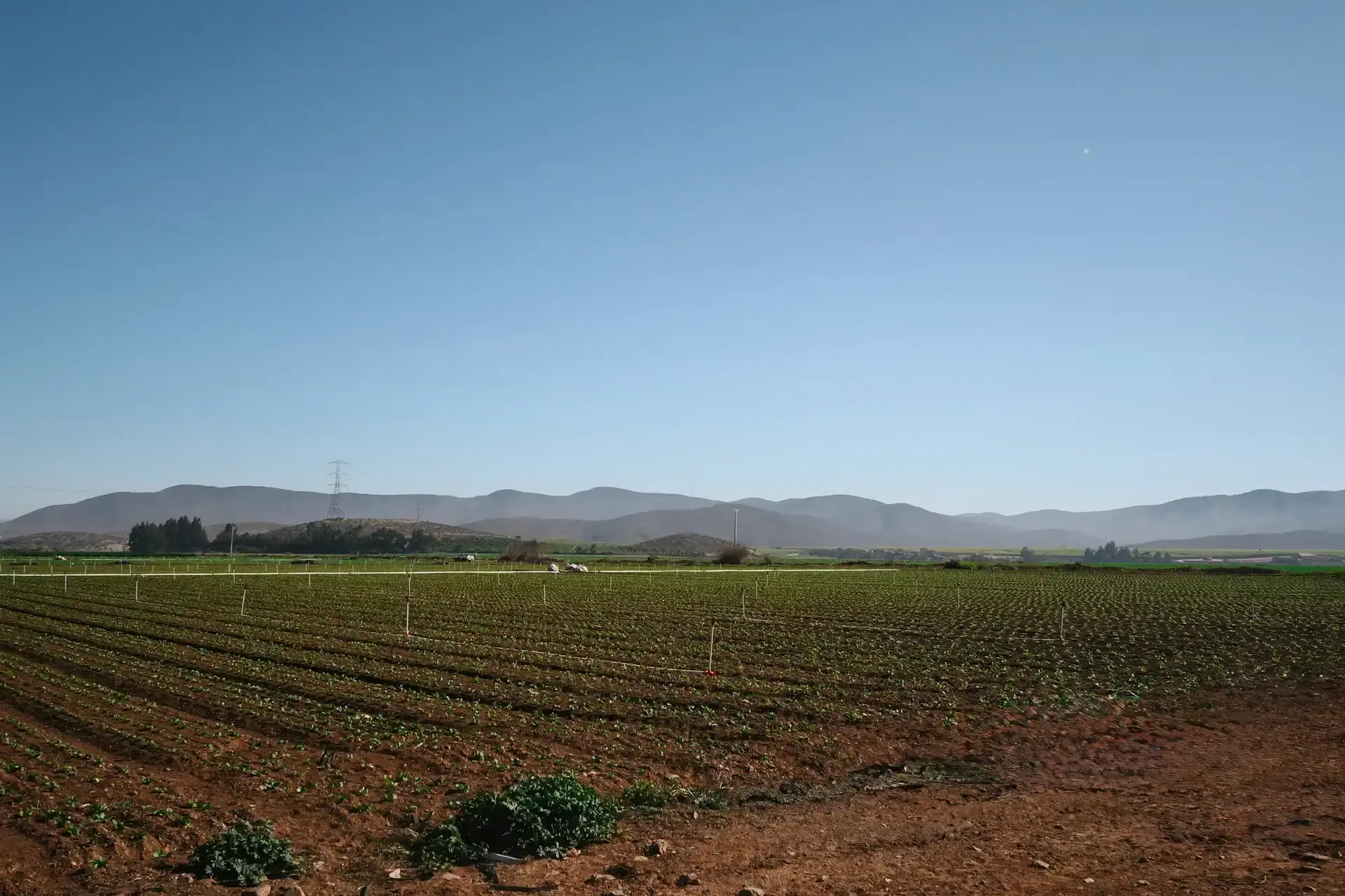 Instalación solar Agrícola Gianni