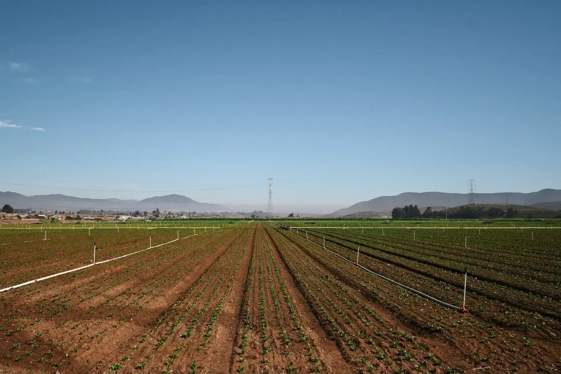 Instalación solar Agrícola Gianni