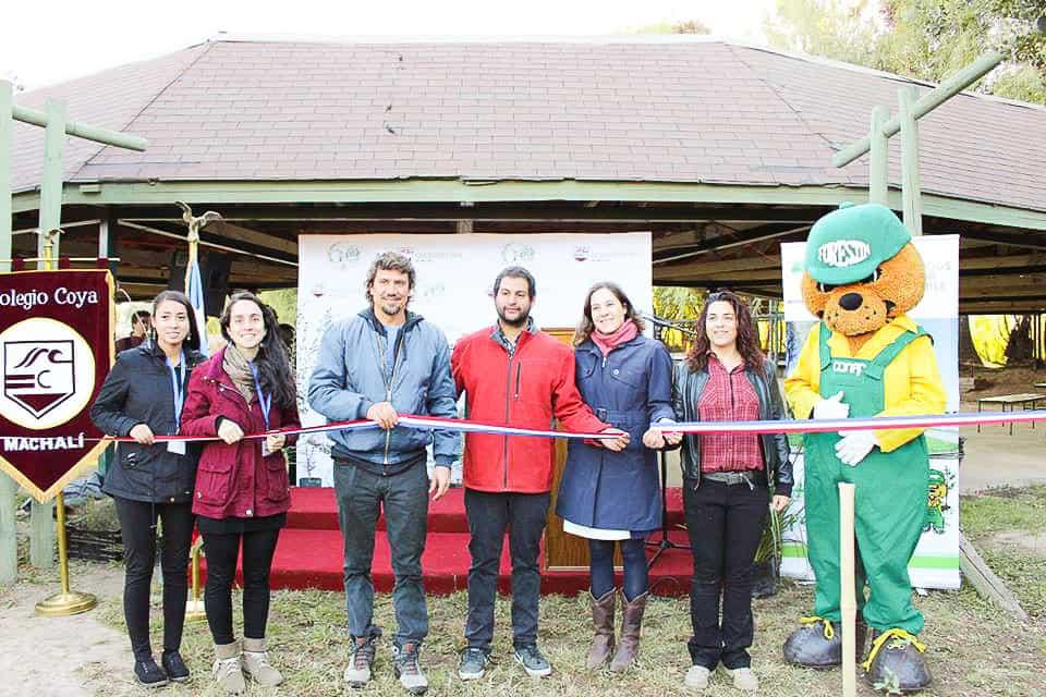 Instalación solar Colegio Coya