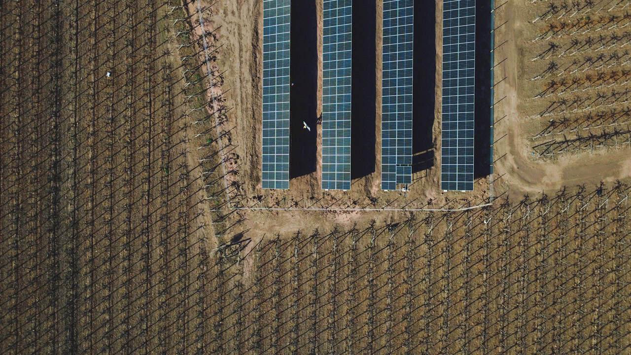 Instalación solar Cooperativa Control Pisquero