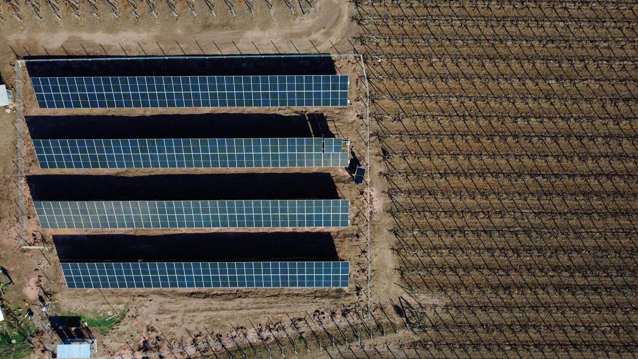 Instalación solar Cooperativa Control Pisquero