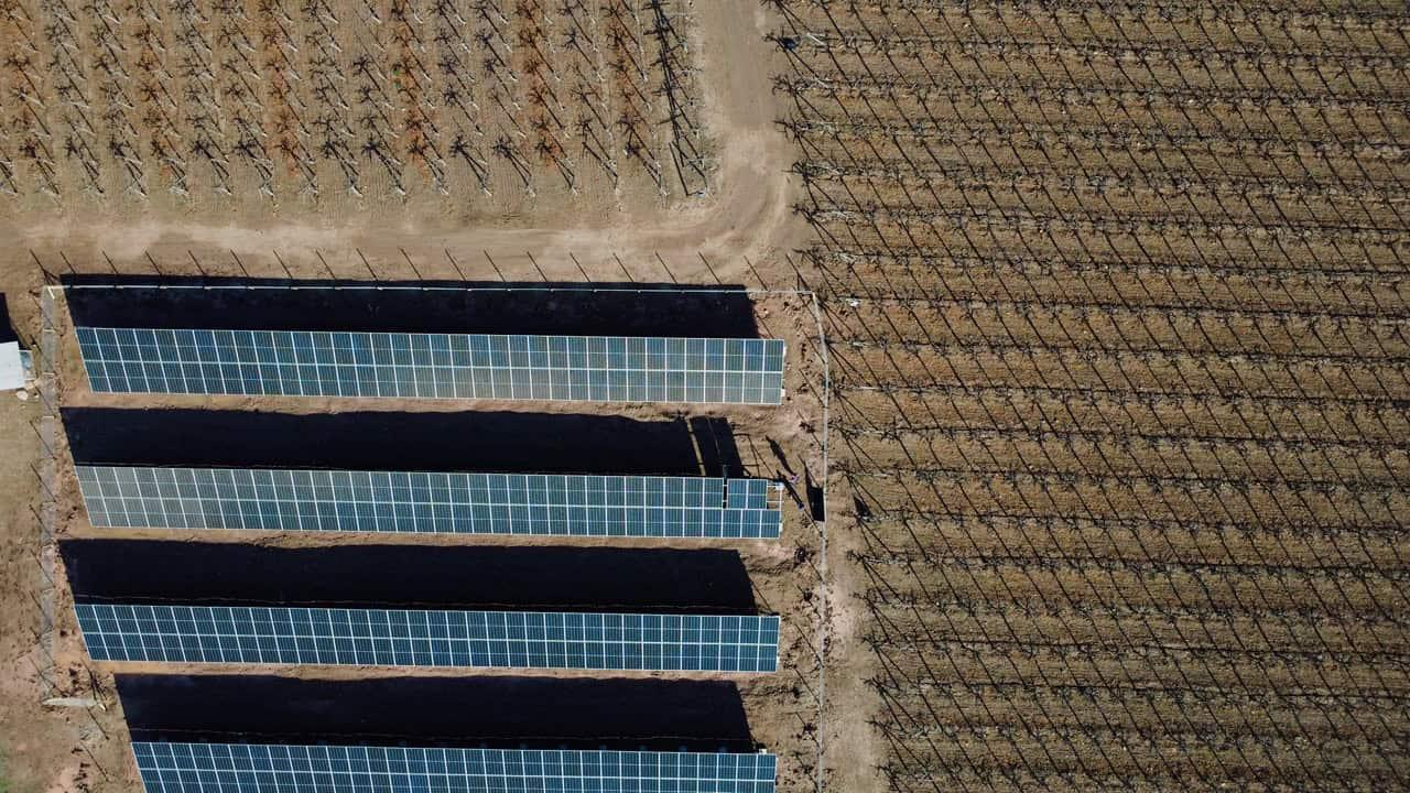 Instalación solar Cooperativa Control Pisquero