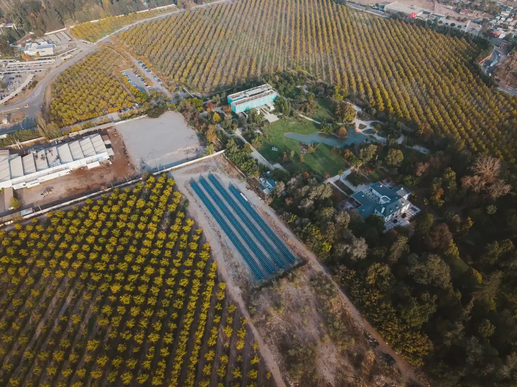 Instalación solar Molymet