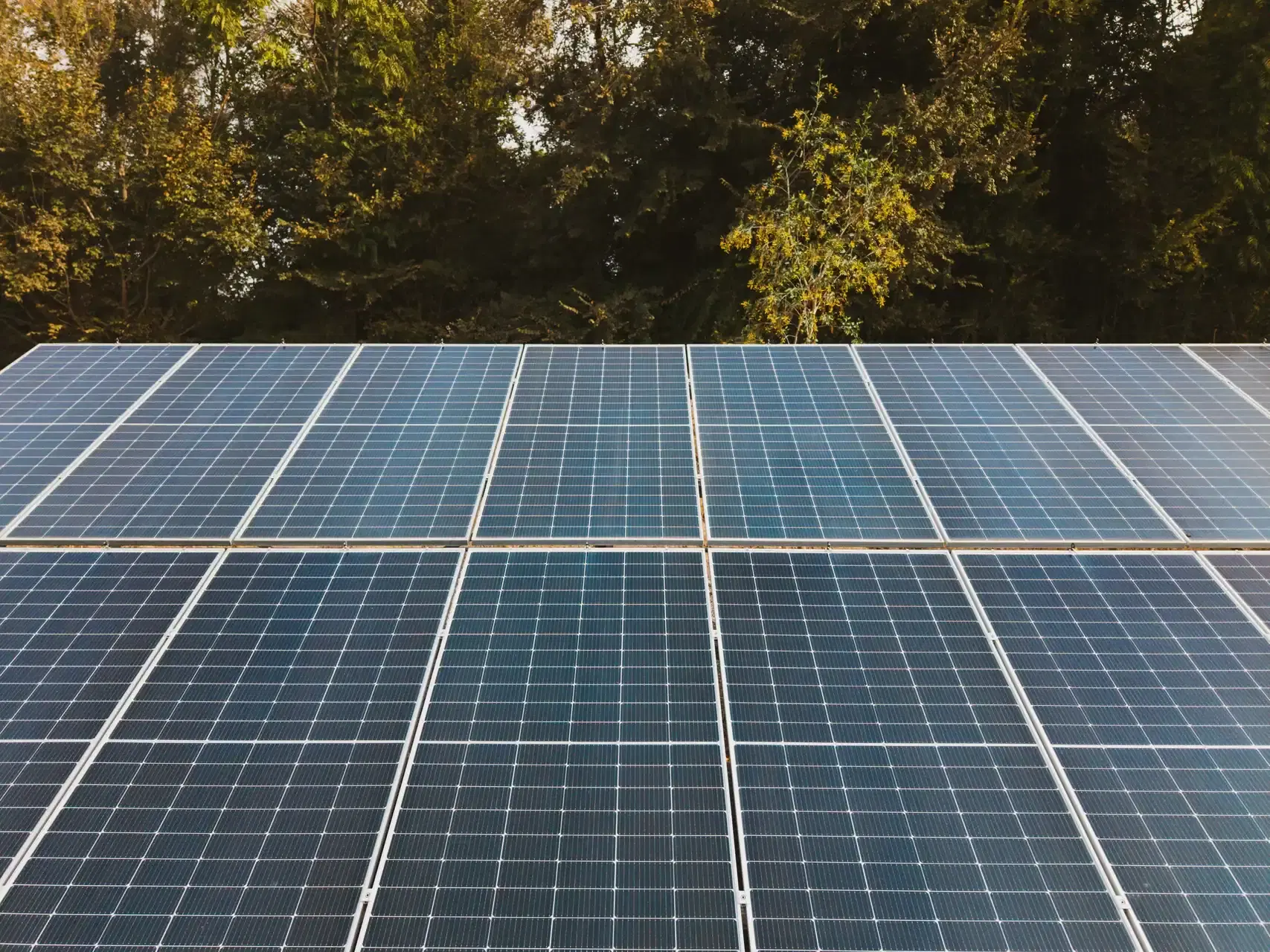 Instalación solar Molymet