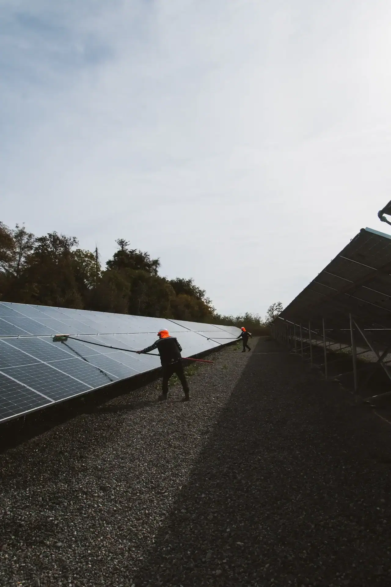 Instalación solar Molymet