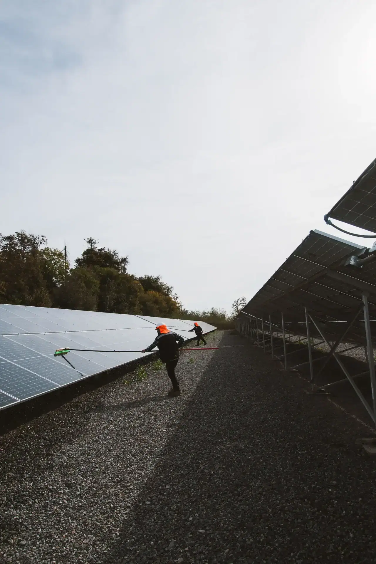 Instalación solar Molymet