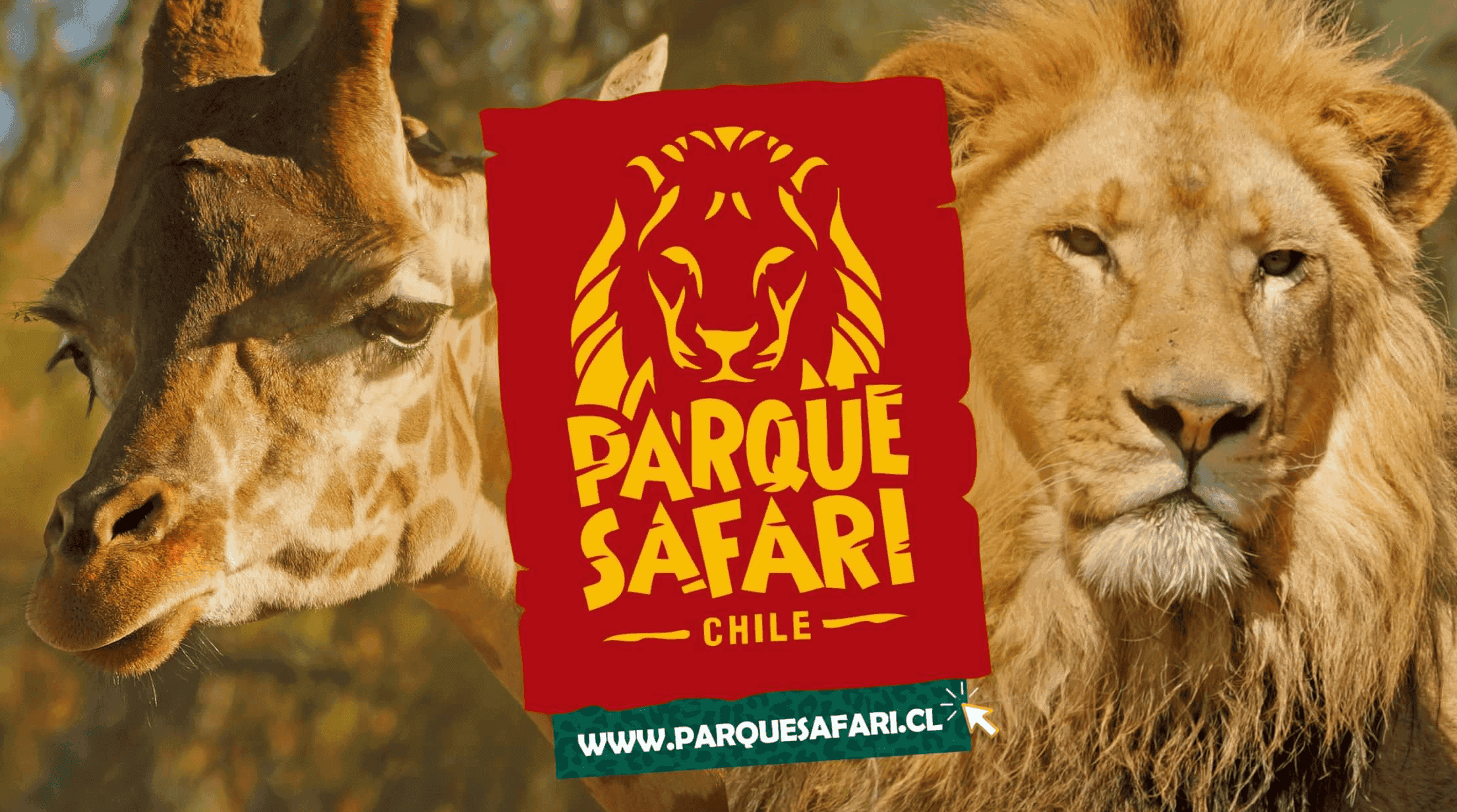Instalación solar Parque Safari