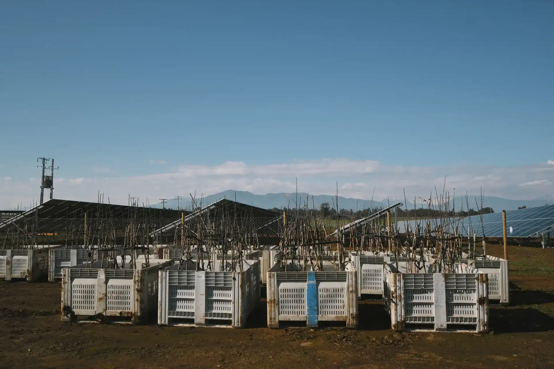 Instalación solar Solfrut
