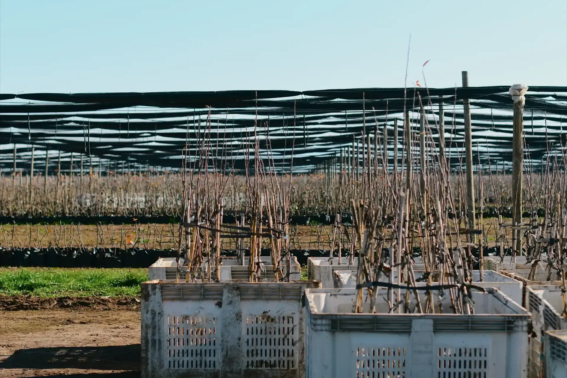 Instalación solar Solfrut