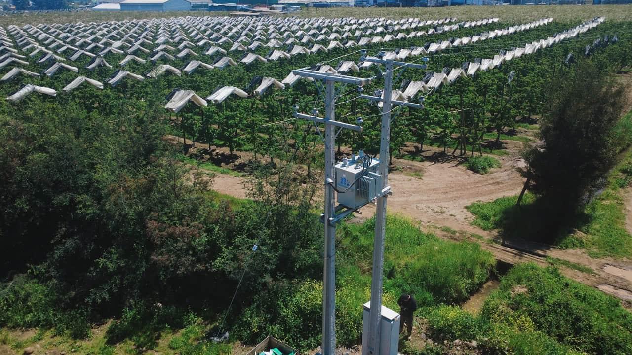 Instalación solar Surfrut