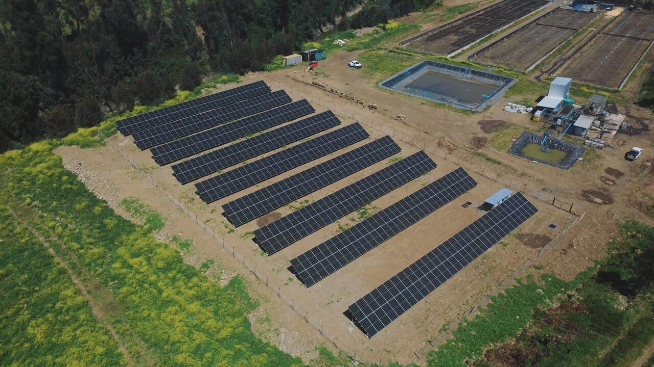 Instalación solar Surfrut