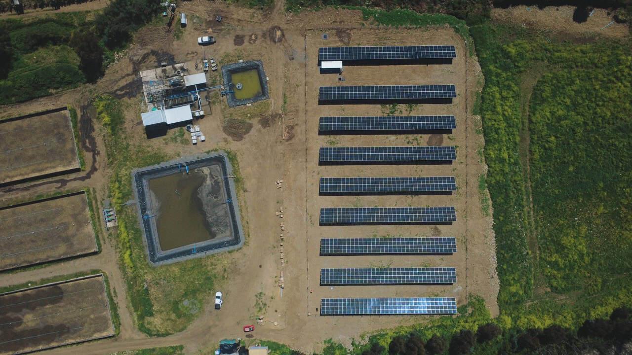 Instalación solar Surfrut
