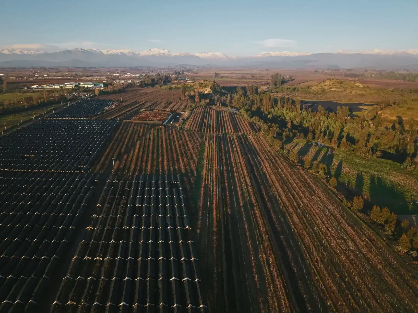Instalación solar Surfrut