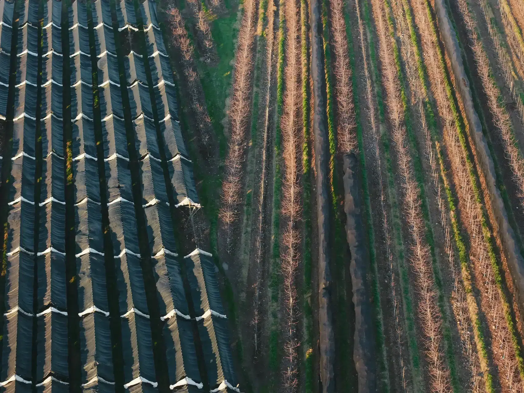 Instalación solar Surfrut