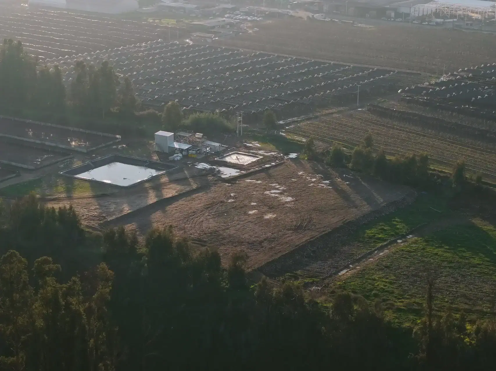 Instalación solar Surfrut