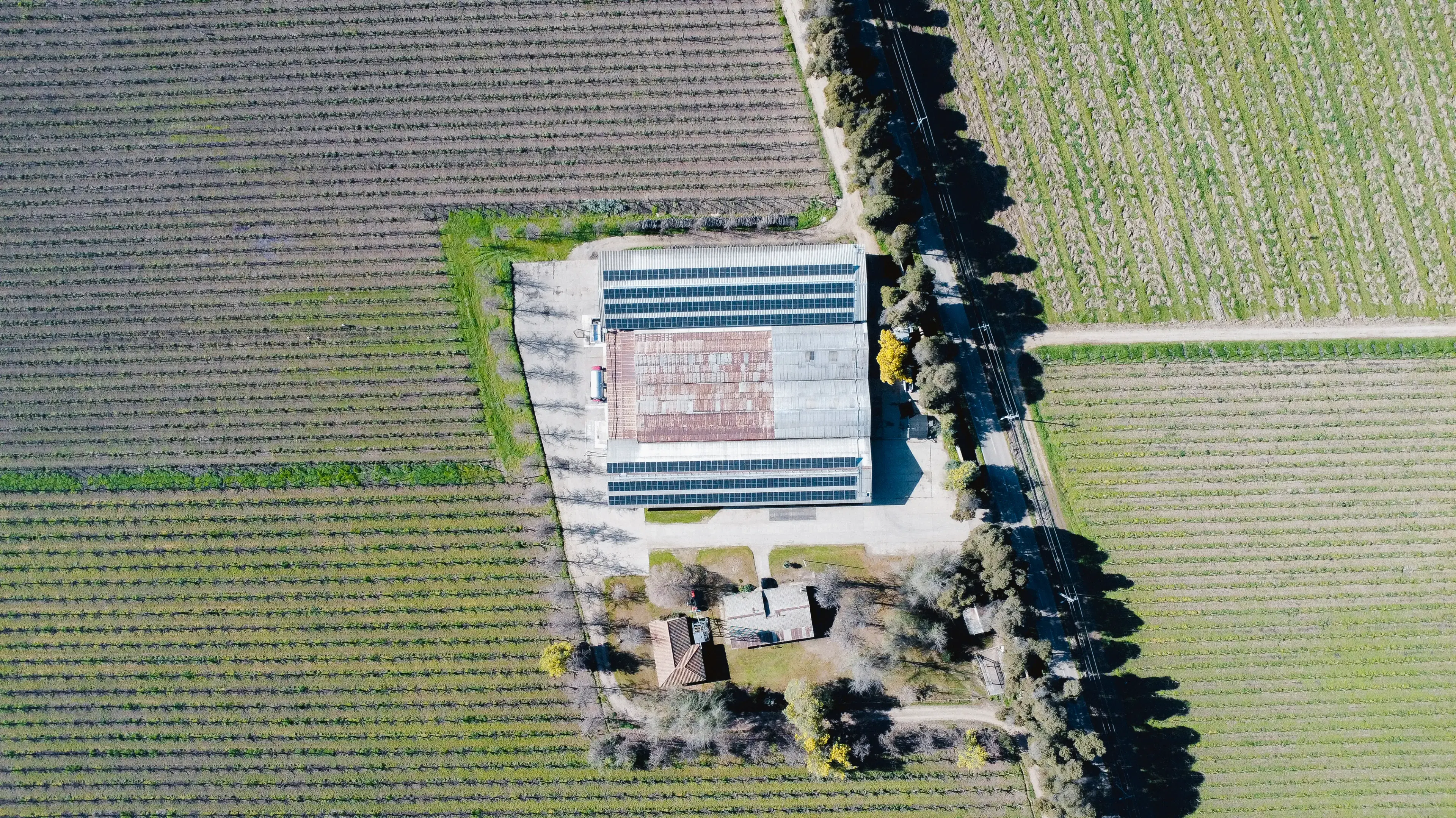 Instalación solar Viña Cruz de Triana
