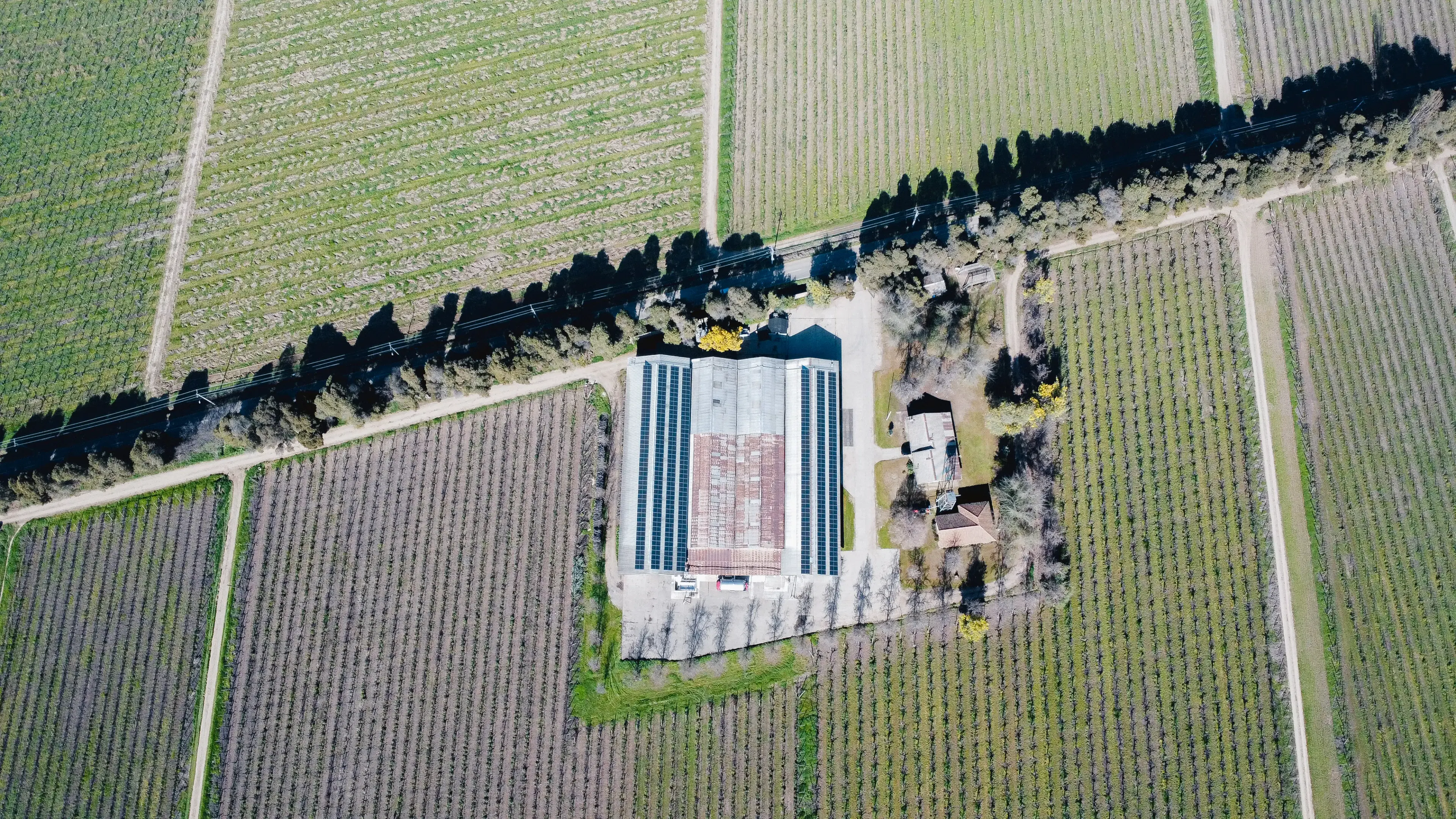 Instalación solar Viña Cruz de Triana
