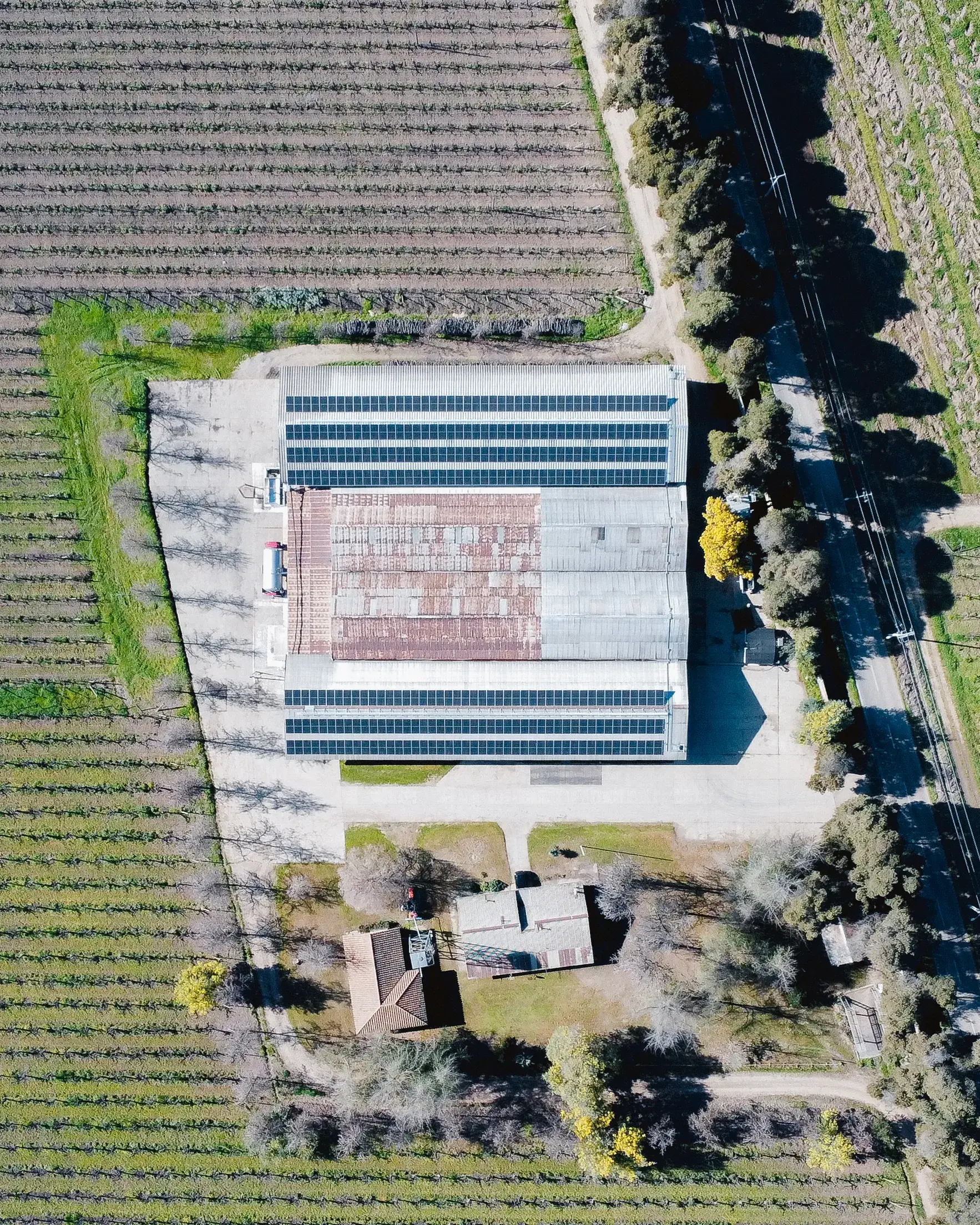Instalación solar Viña Cruz de Triana